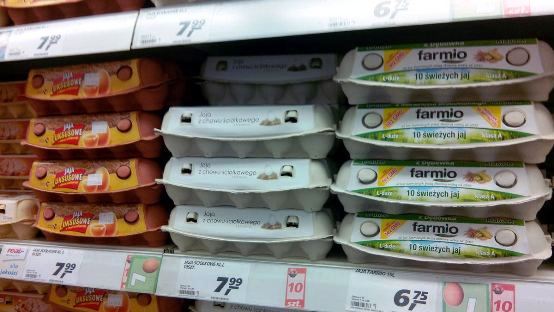 Уровень цен в Польше на 2016 год