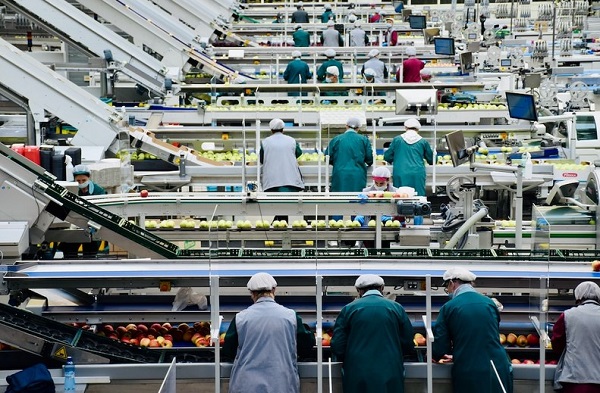 Преимущества внедрения конвейерных линий в различные сферы промышленности